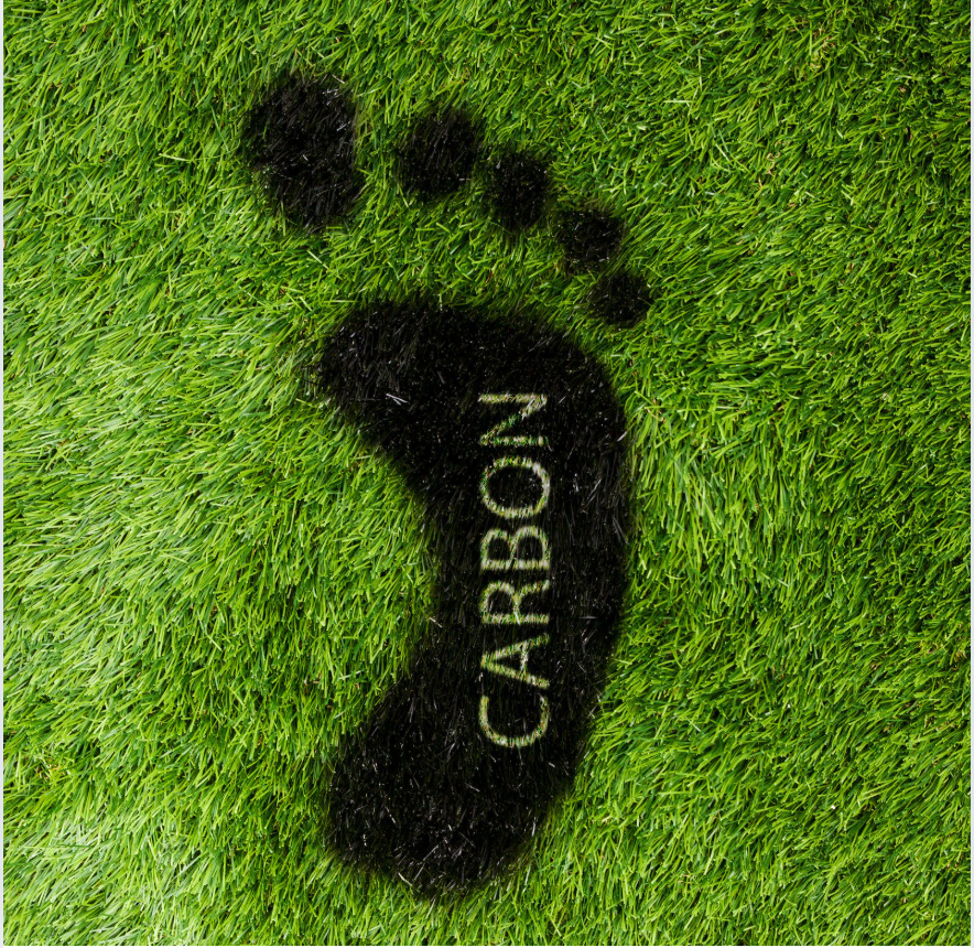 Carbon Accounting SaaS
